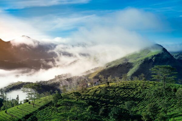 Munnar Two Days Trip